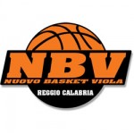 viola-basket