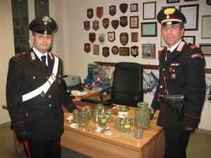 La marijuana rinvenuta dai Carabinieri