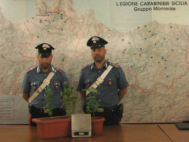 I Carabinieri di Monreale con le piante sequestrate