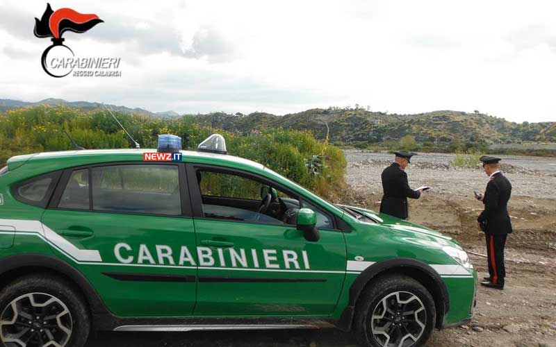 Carabinieri Forestali