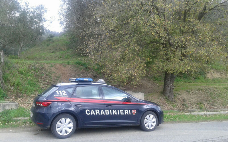 Un'auto dei Carabinieri durante un controllo nella Piana di Gioia Tauro