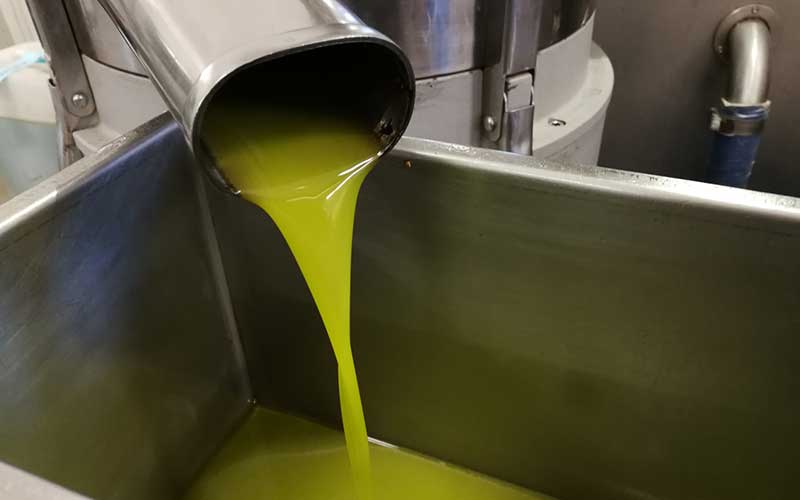 L'olioextravergine d'oliva