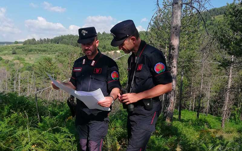 Carabinieri Forestali sul terreno boscato