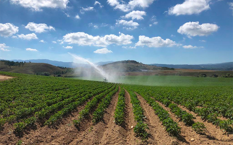Irrigazione agricoltura